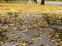 -广东药科大学(广州校区大学城校园)