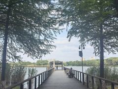 -长广溪湿地公园