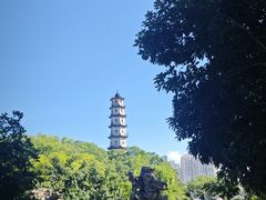 -江心屿景区