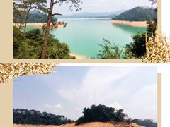 -广州市流溪河国家森林公园
