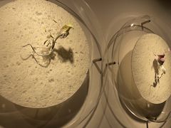 -中国美术学院象山校区-民艺博物馆