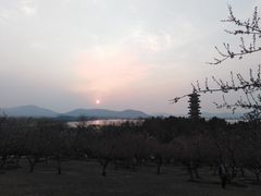 -川锅一号火锅(睢宁店)