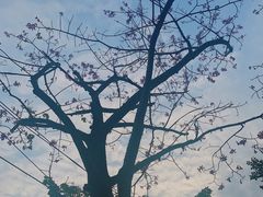 -白云山索道-售票处