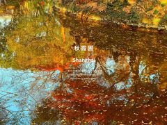 -秋霞圃