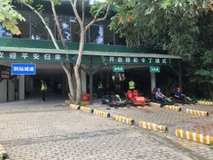 -海南槟榔谷黎苗文化旅游区