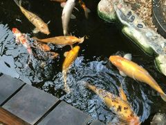-上海大自然野生昆虫馆(东方明珠·爬宠昆虫探索中心)
