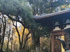 -西湖风景区十里琅珰-五云山