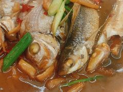 -友强·23年特色海鲜大排档(厦门店)