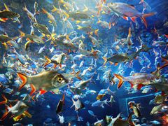 -成都浩海立方海洋公园