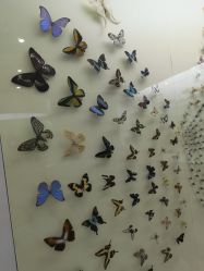 -北京科学中心儿童乐园