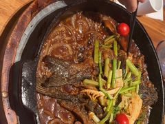 -老板恋上鱼(恒隆广场店)