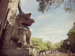-北陵公园