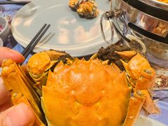 -美盛喜来登大酒店-盛宴标帜餐厅