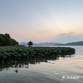 夏末的杭州，哪里都是美景#每一帧都是风景#美食新店打