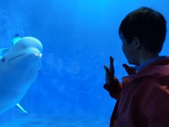 -多彩贵州城极地海洋世界