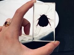 -宴锦堂·西院私房菜