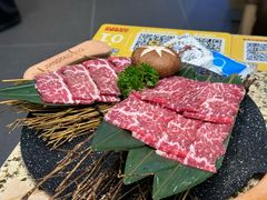 -安又胖韩国烤肉(南山海岸城店)