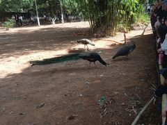 -昆明动物园
