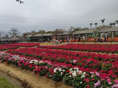 -盈香心动乐园