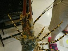 -顺峰渔港中国人的餐厅