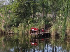 -白鹭湾湿地公园