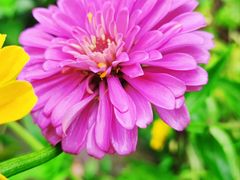 -斐文野奢酒店·私房菜·轻吧