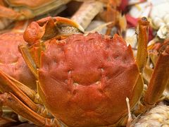 -仙螺岛海鲜自助餐厅(总店)