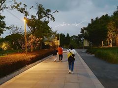 -长田漾湿地公园