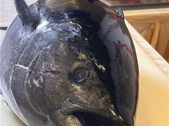 -御瀛日本料理