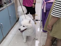 -北京观赏动物医院·24小时大型综合·猫专科·异宠专科