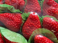 精品草莓-果蔬好(江南赋店)