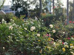 -人民公园(罗湖区)