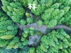 -桤木河湿地公园