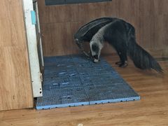 -无锡动物园·太湖欢乐园