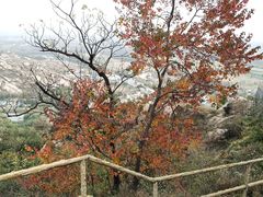 -嵖岈山风景区