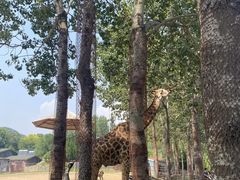 -大连森林动物园