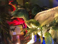 -恐龙探索乐园(磁器口店)