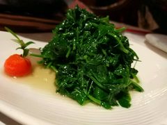 -西郊5号·Maggie 5
