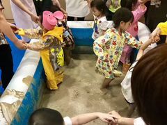 -金宝贝早教(南山花园城店)