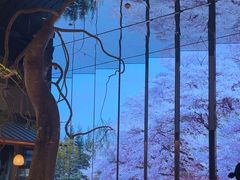 -桂满陇·海市蜃楼·黑金(国金店)