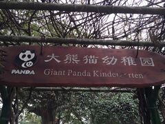 -成都大熊猫繁育研究基地