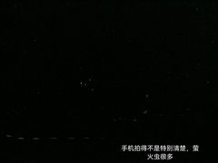 -芦沟竹海