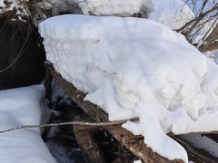 -峡谷浮石林景区