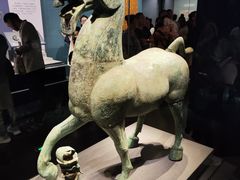 -广西壮族自治区博物馆