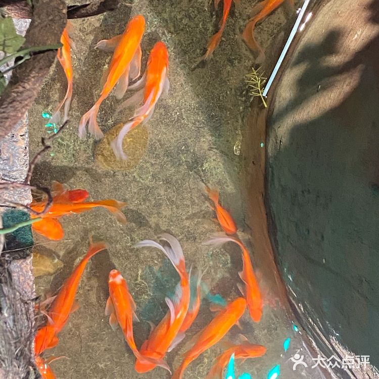 山水溶洞火锅