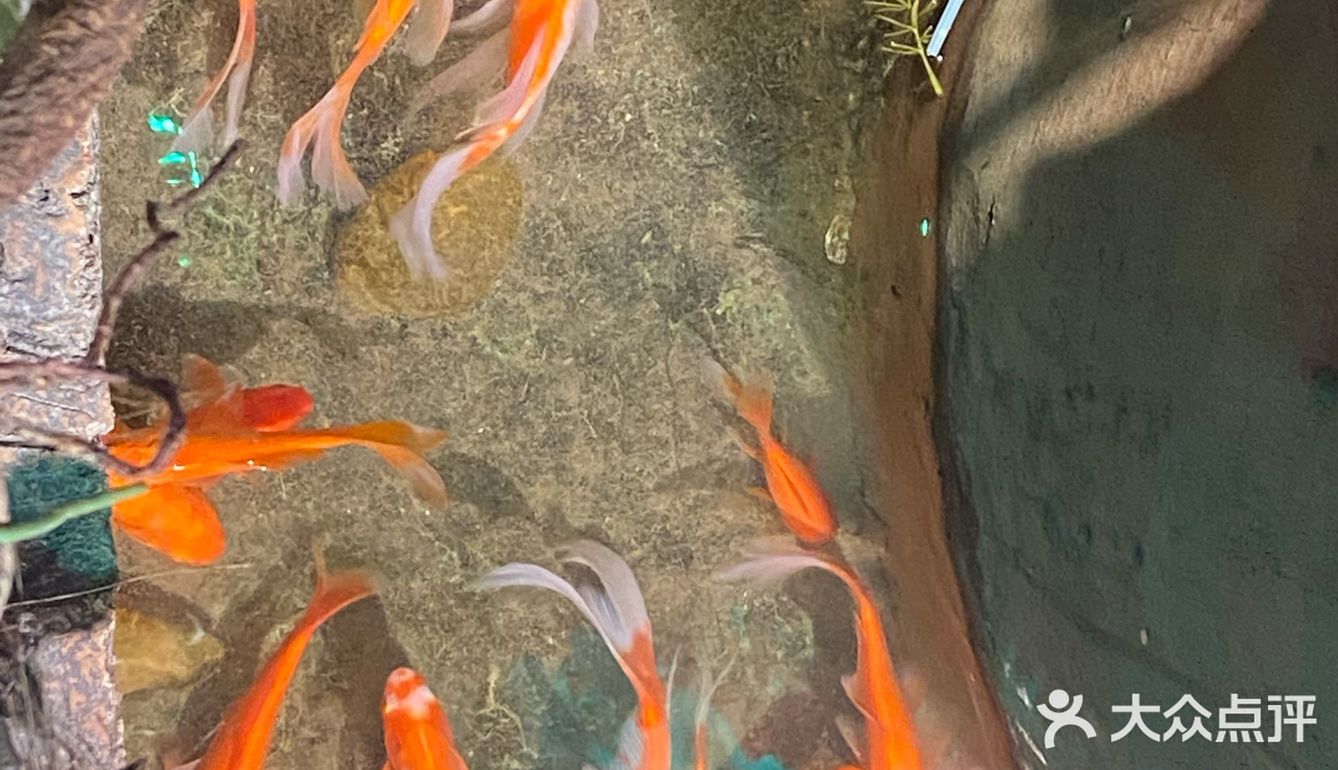 山水溶洞火锅