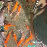 山水溶洞火锅