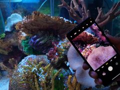 -上海海洋水族馆