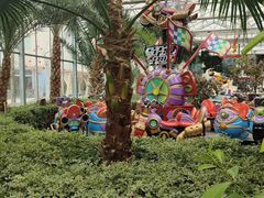 -南宫五洲植物乐园