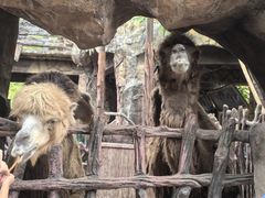 -长鹿旅游休博园